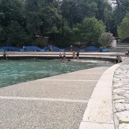 Franka * Sveti Vid-Miholjice